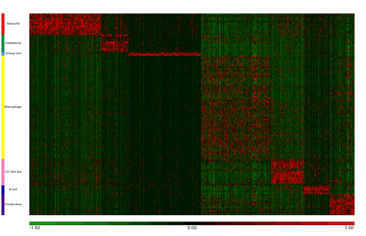 7 cell type signatures' Heatmap