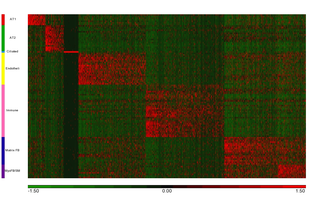 6 cell type signatures' Heatmap