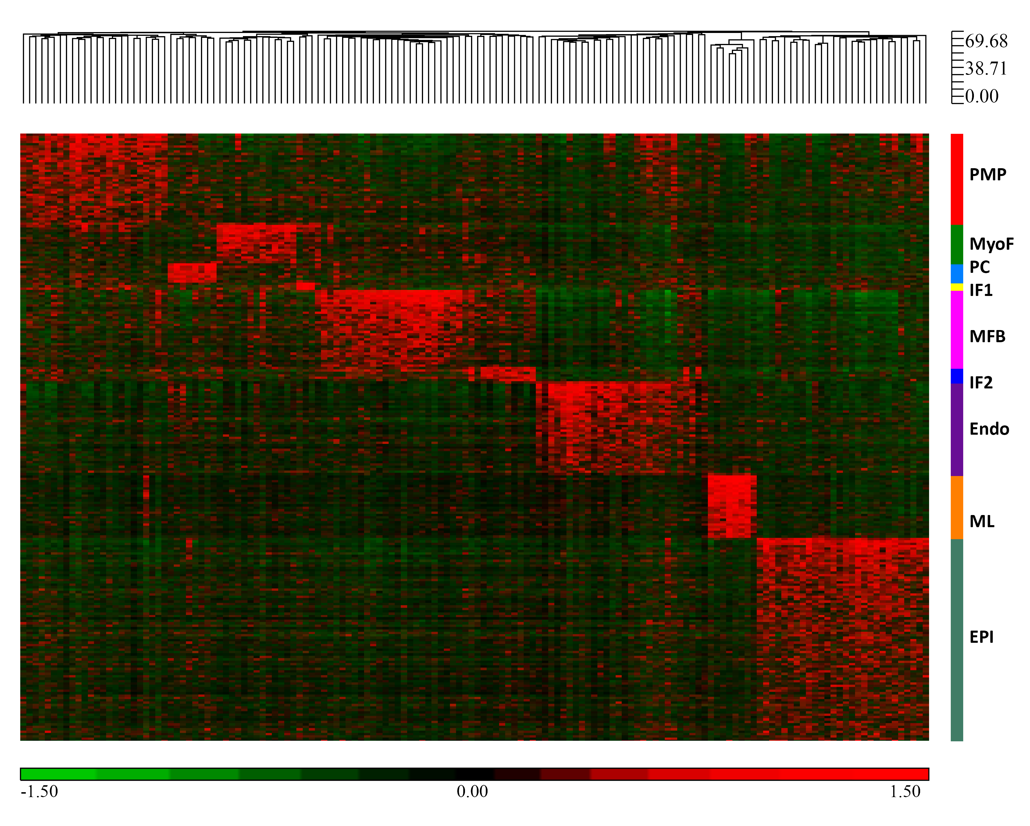 9 cell type signatures' Heatmap