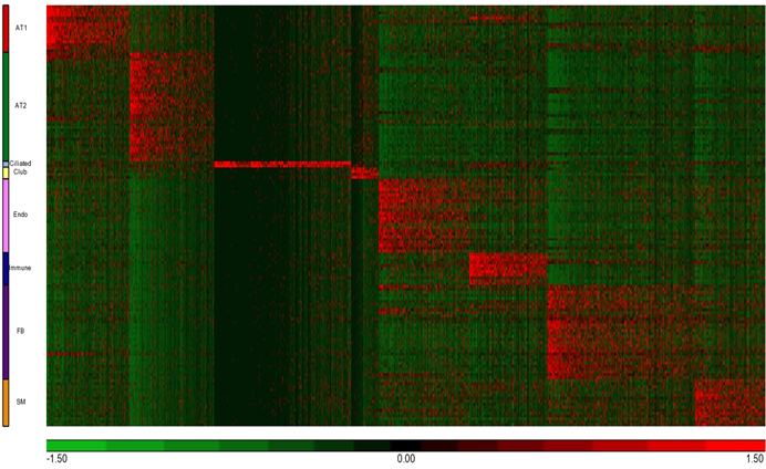 9 cell type signatures' Heatmap