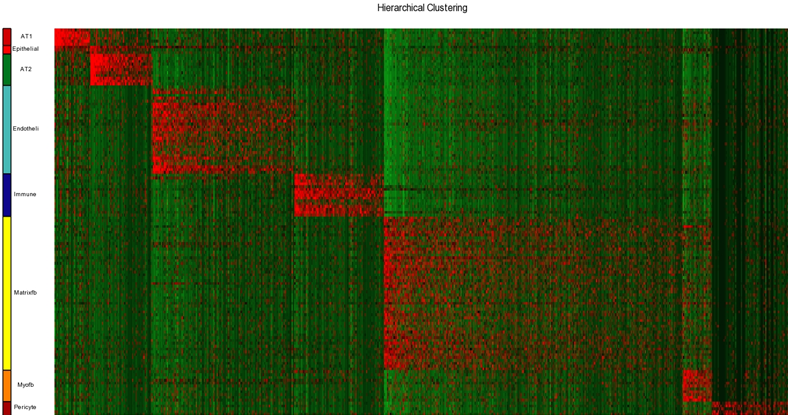 7 cell type signatures' Heatmap